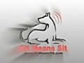Dog Training Career With Sit Means Sit Dog  | BahVideo.com