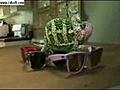 bukalemun - renkten renge giriyor | BahVideo.com