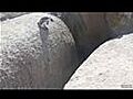 Penguins Leap Of Faith | BahVideo.com