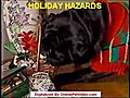 HOLIDAY HAZARDS FOR PETS | BahVideo.com