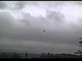 Bird of prey hovering | BahVideo.com