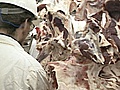 Modern Marvels - The Butcher | BahVideo.com