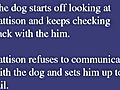Brad Pattison Jerking Dog | BahVideo.com