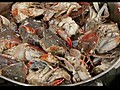 Buddy s Blue Crabs | BahVideo.com