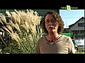 Assoc Bourses aux plantes de l amp 039 association l amp 039 Herbe folle  | BahVideo.com