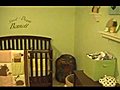 Baby s Room Nursery Tour | BahVideo.com