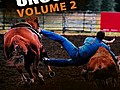 Untamed amp Uncut Vol 2 Wrong Way Horse  | BahVideo.com