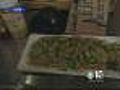 Luch Break Vegan Soba Noodle Salad | BahVideo.com