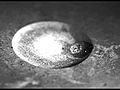 VIDEO experiment 100mm Macro 2 8 canon | BahVideo.com