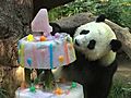 Panda Birthdays 2009 | BahVideo.com