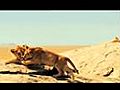 Naturerlebnis im Kino Serengeti | BahVideo.com