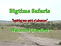 Wild beast immigration from Serengeti to Masai Mara | BahVideo.com