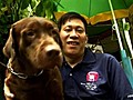 Take your Dog to work day | BahVideo.com