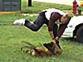 Baltimore Police K9 Training or Abuse  | BahVideo.com