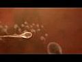 Love Sperm | BahVideo.com