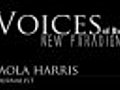 Voices Of The New Paradigm Paola Harris UFOs  | BahVideo.com