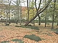 Besuch beim J dischen Friedhof | BahVideo.com