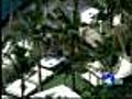 Report LeBron James Rents 6 Cabanas At W Hotel | BahVideo.com