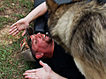 Billy the Exterminator Wolf Attack  | BahVideo.com