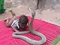 BABY AND A KING COBRA  | BahVideo.com