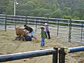 Disney Mountain Rodeo Cash Scramble for the Kids | BahVideo.com