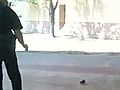 Il duello poliziotto-scoiattolo | BahVideo.com