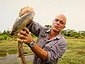 River Monsters River of Freaky Fish | BahVideo.com