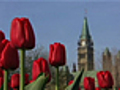 Things To Do in Ottawa | BahVideo.com