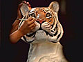 Artists come together to save tigers | BahVideo.com