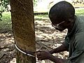 Firestone Rubber and Labor in Liberia | BahVideo.com