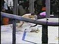Royce Gracie vs Ken Shamrock | BahVideo.com
