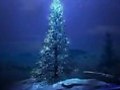 Smokie - O Christmas Tree - O Brad Frumos - Fuego  | BahVideo.com