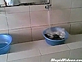 Small Load Washing Machine | BahVideo.com