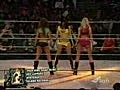 WWE Divas Dance Tribute  | BahVideo.com