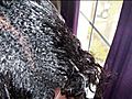 My natural hair journey | BahVideo.com