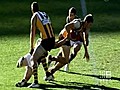 Hawks slam AFL drug policy | BahVideo.com
