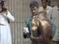 Orangutan Gets a Second Chance | BahVideo.com