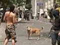 Greece riot dog is a hard mutt | BahVideo.com