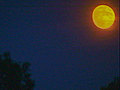 Weather Wisdom Red Moon | BahVideo.com