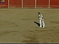 mirad como no hace falta maltratar un toro para divertirte | BahVideo.com