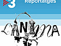  nima - Reportatges - Fitxatges internacionals | BahVideo.com