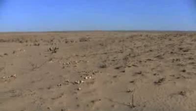 Drought | BahVideo.com