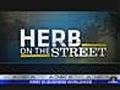 Herb on the Street Momentum Investing | BahVideo.com