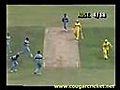 Funny Cricket | BahVideo.com