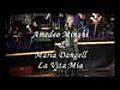 Amedeo Minghi amp Maria Dangell - La Vita Mia | BahVideo.com