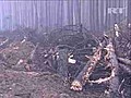 Los incendios forestales en Rusia han causado  | BahVideo.com