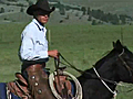 Sitz Angus Ranch | BahVideo.com