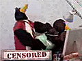 Penguins Gone Wild | BahVideo.com