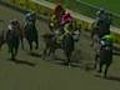 Caught on video Jockey trampled in horse race | BahVideo.com