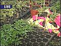 Earth Day in Michiana | BahVideo.com